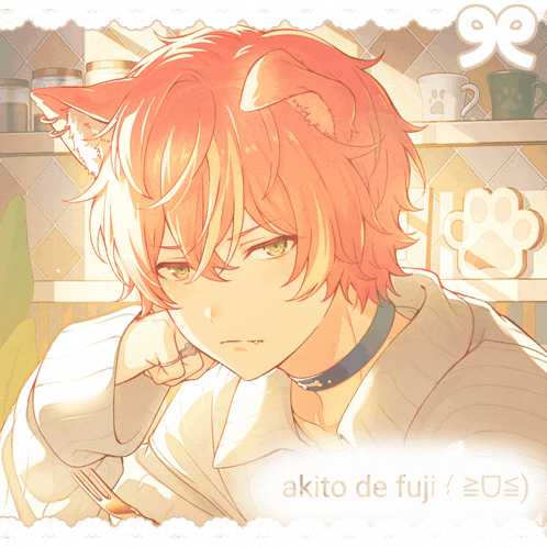 a picture of a boy with cat ears and the name akito de fuji on the bottom