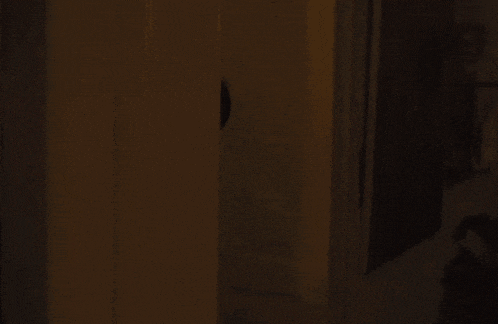 a man wearing glasses looks out of a doorway