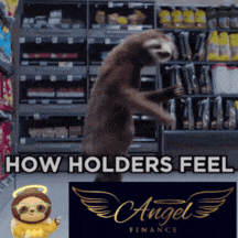 a sloth standing on its hind legs in front of a sign that says angel finance