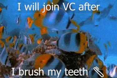 a picture of a coral reef with the words i will join vc after i brush my teeth