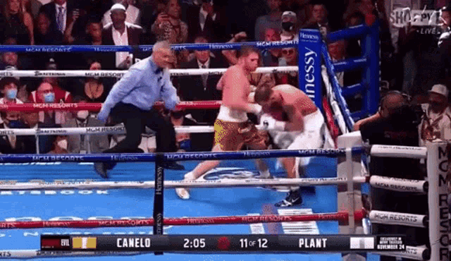 Canelo Caleb Plant GIF