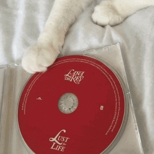 a cat 's paw rests on a lana del rey lust for life cd