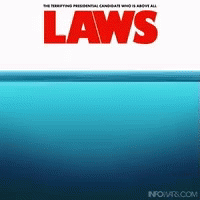 Clinton Laws GIF - Clinton Laws GIFs