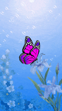 a pink and purple butterfly is flying over flowers