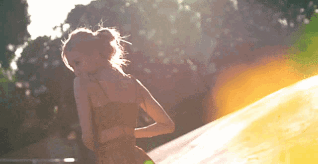 a woman in a dress is standing in front of a sunset