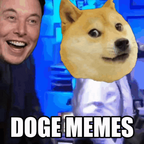 a picture of elon musk with a doge meme on it