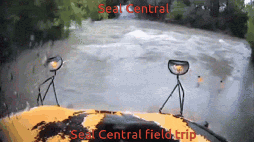 Seal Central Bus GIF - Seal Central Bus Water GIFs
