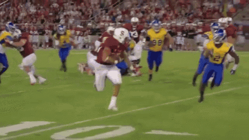 a football player with the number 25 on his jersey is running with the ball