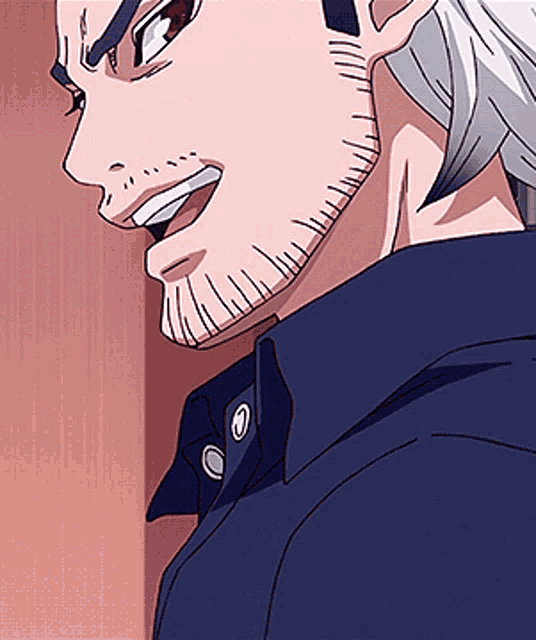 a man with gray hair and a beard is smiling