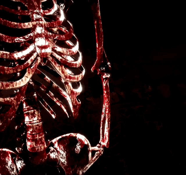 a poster for the w flawless victory with a skeleton in the background