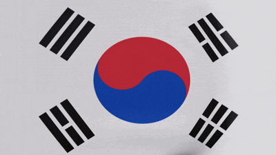 a korean flag with a circle in the middle and black lines around it