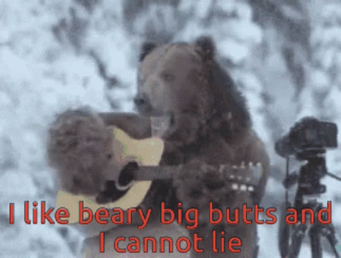 I Like Beary GIF - I Like Beary Big Butts GIFs