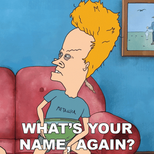 What'S Your Name Again Beavis GIF - What'S Your Name Again Beavis Mike Judge'S Beavis And Butt-head GIFs
