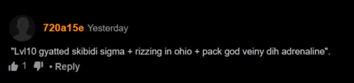 a black screen with a reply from lv10 gyalted skibidi sigma rizzing in ohio pack god veiny dh adrenaline