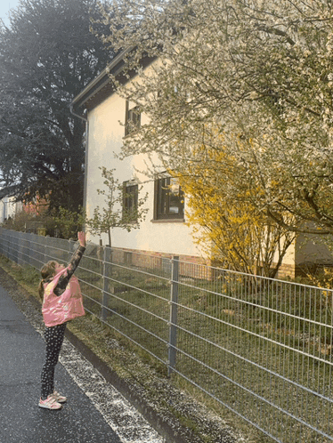 a little girl stands in front of a fence with her hand up
