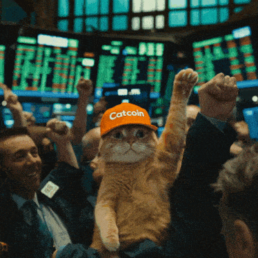 a cat wearing a catcoin hat is being held up in the air