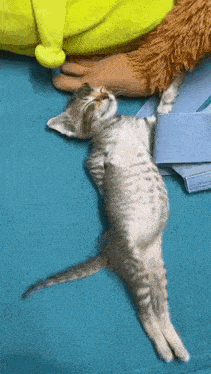 a kitten is laying on its back on a blue couch next to a stuffed animal .