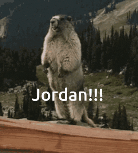 a ground squirrel standing on its hind legs with the word jordan written on the bottom