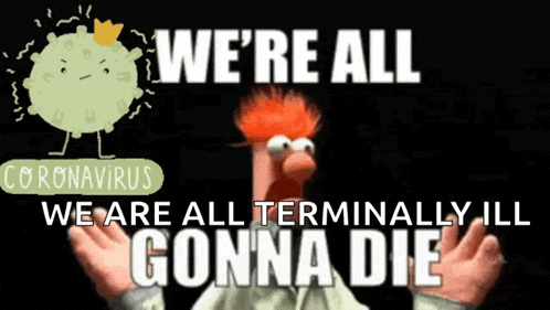 a muppet says we 're all terminally ill gonna die in front of a picture of a virus