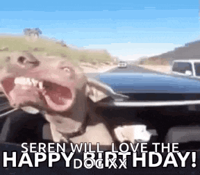 a dog is driving a car and making a funny face .