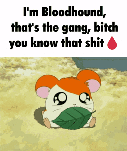 a hamster with a leaf in its mouth and the words i 'm bloodhound