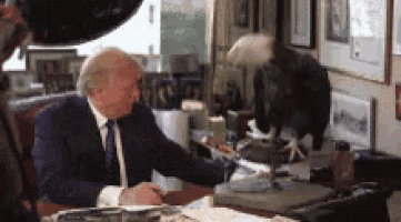 a man in a suit and tie is sitting at a desk with a bird sitting on top of it .