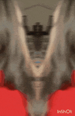 a woman in a red shirt is taking a picture of herself with the words inshot below her