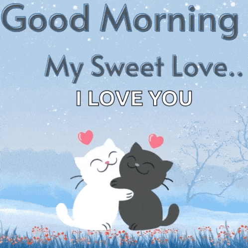 a couple of cats hugging each other with the words good morning my sweet love i love you
