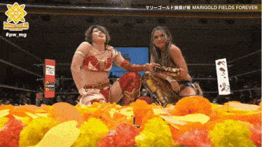 two women in a wrestling ring with marigold fields forever on the bottom