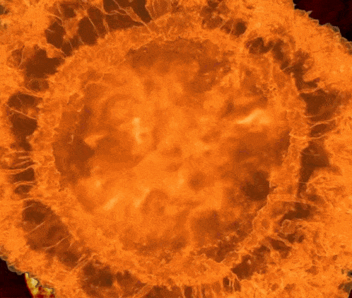 a painting of a fire with a red flower in the middle