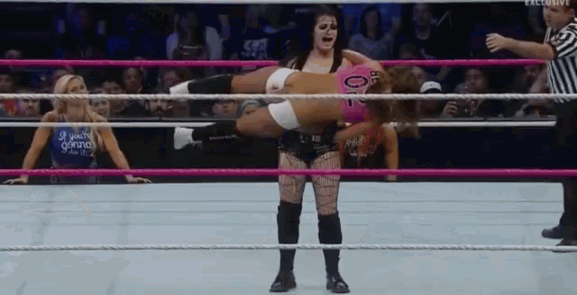 Paige Vs Nikki Slam GIF - Paige Vs Nikki Slam Wwe GIFs