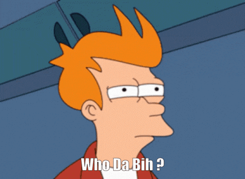 fry from futurama says who da bih in a cartoon