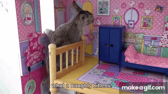 a cat is standing on a bed in a doll house with the words what a naughty kittens