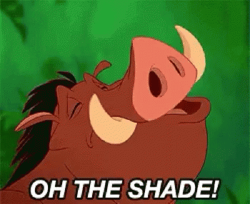 Oh The Shade Pumba GIF - Oh The Shade Pumba Timon GIFs