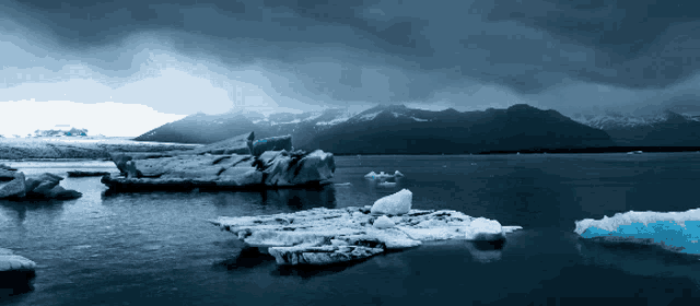 Iceberg Calm GIF - Iceberg Calm GIFs