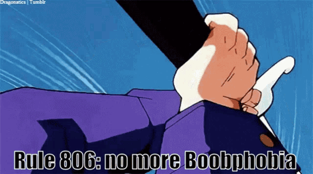 a cartoon of a person holding a sword with the words rule 806 no more boobphobia