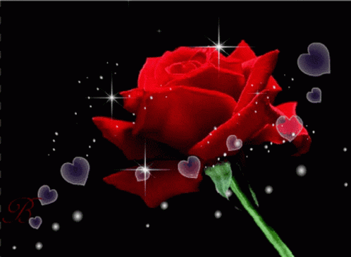 Rose Hearts GIF - Rose Hearts Sparkling GIFs