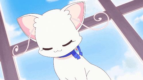 a white cat with pink ears and a blue collar is looking out a window