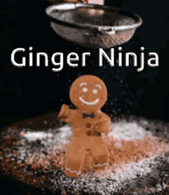 Gingerninja GIF - Gingerninja GIFs