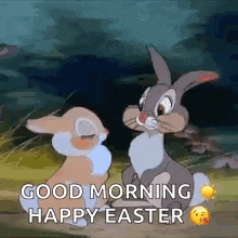 two bunny rabbits are standing next to each other in a field .