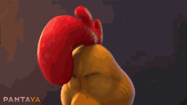 a picture of a cartoon chicken with the word pantaya on the bottom right