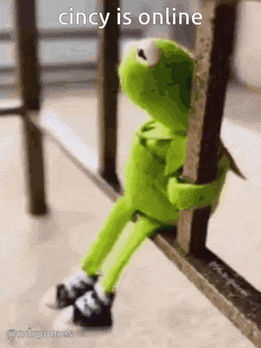a kermit the frog sitting on a railing with the words cincy is online above him