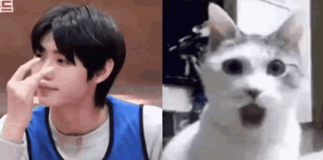 a man and a cat are looking at each other and the cat is making a surprised face .