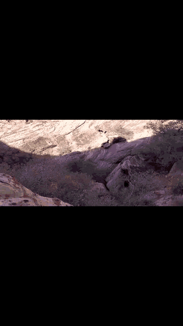 a group of people are hiking up a rocky hillside .