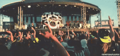 a crowd of people at a concert with the words bass pop on the stage