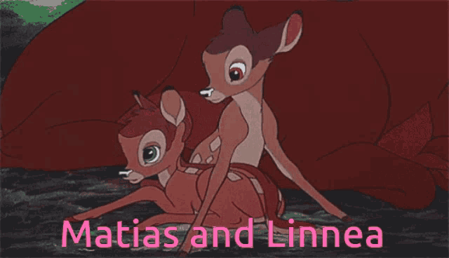 a cartoon of a deer with the name matias and linnea
