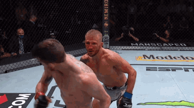 two men are fighting in a cage with a sign that says modelo in the background