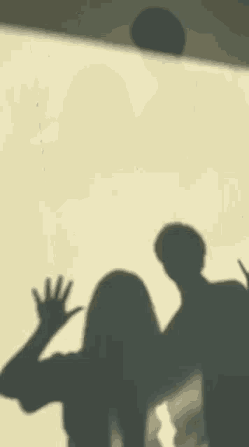 a shadow of a man and a woman standing next to each other .