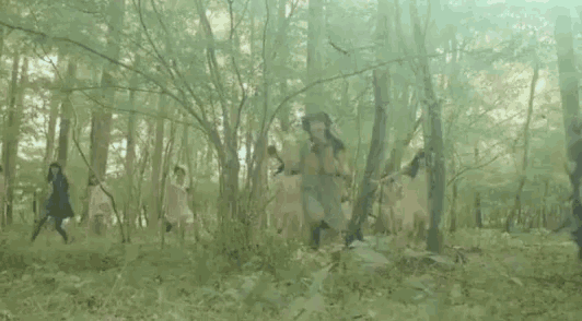 a group of people are walking through a forest in the fog .