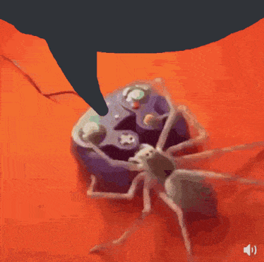 Spider Gaming GIF - Spider Gaming Melee GIFs